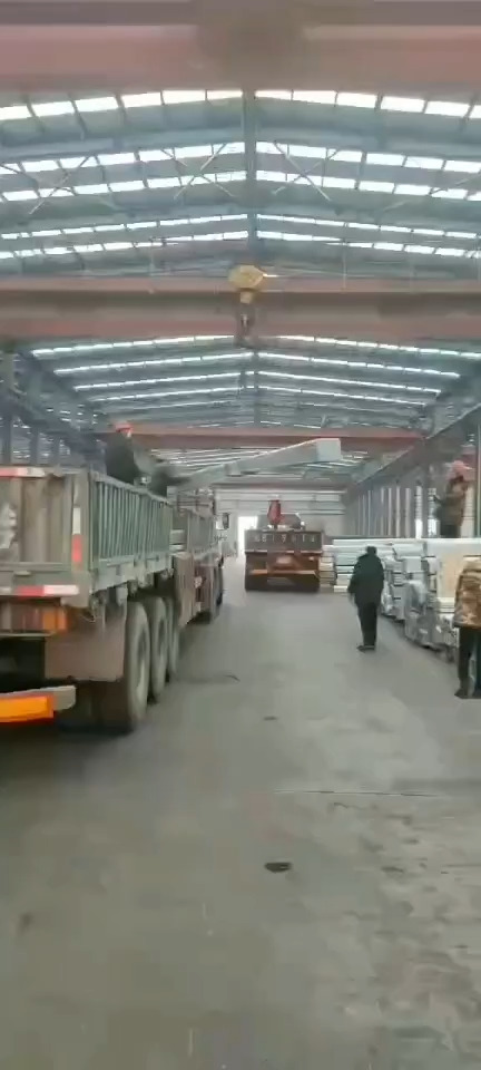 视频19